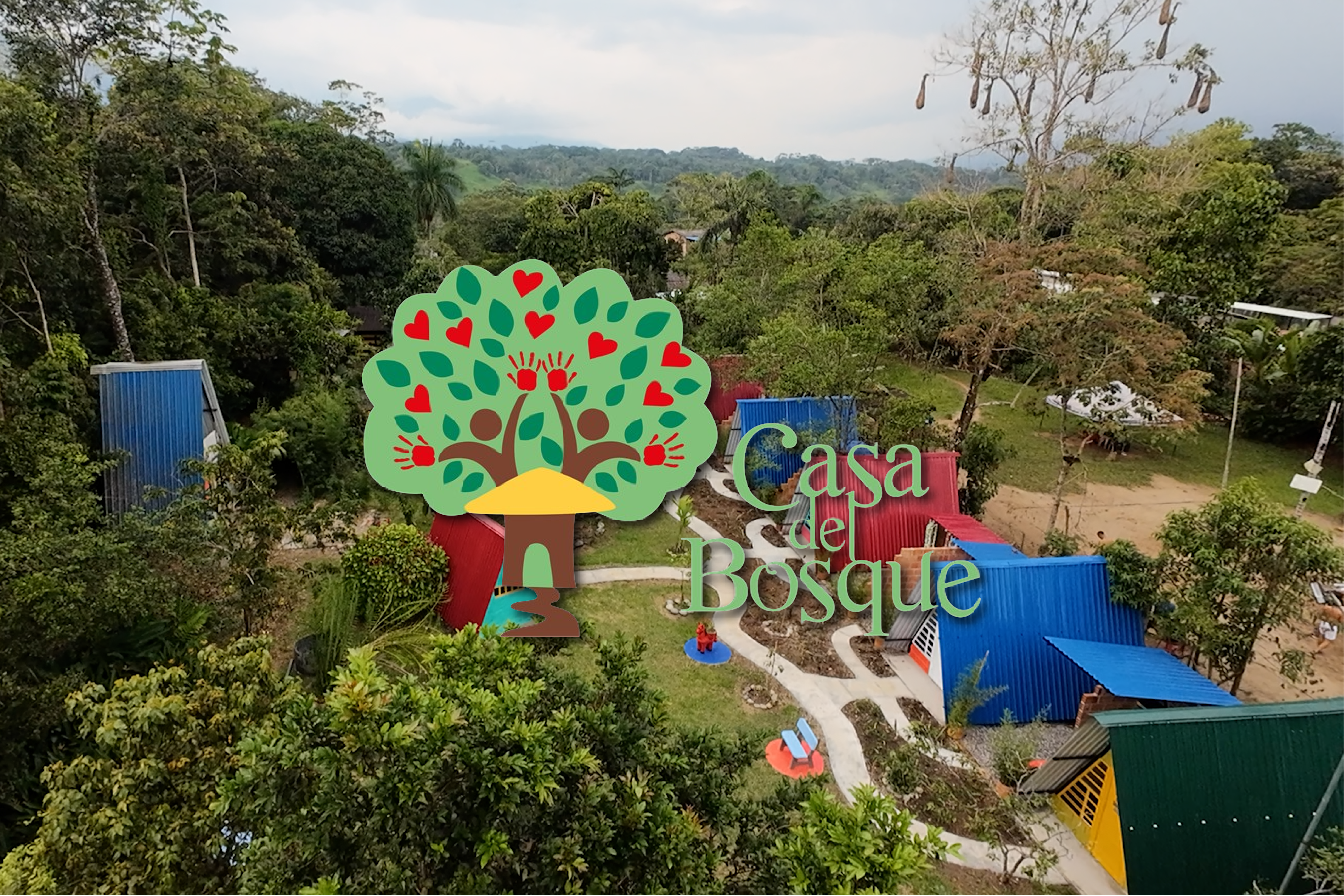 Casa del Bosque - Video Educativo (Muestra Infantil)
